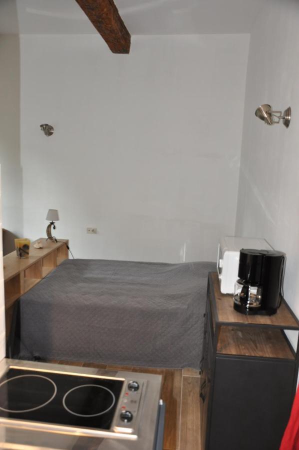 Location Studio Meuble Avec Jardin Sorgues Zewnętrze zdjęcie